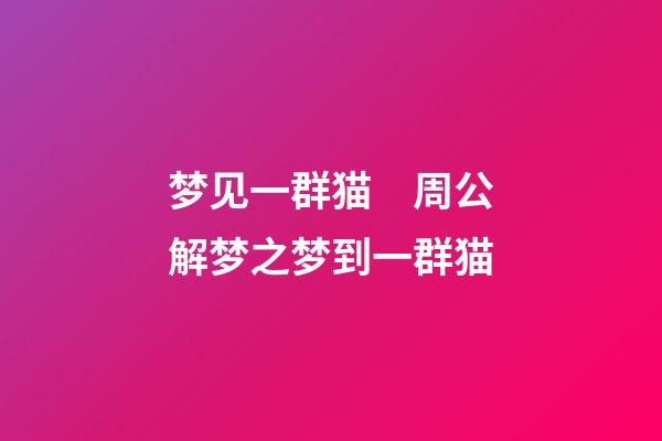 梦见一群猫　周公解梦之梦到一群猫